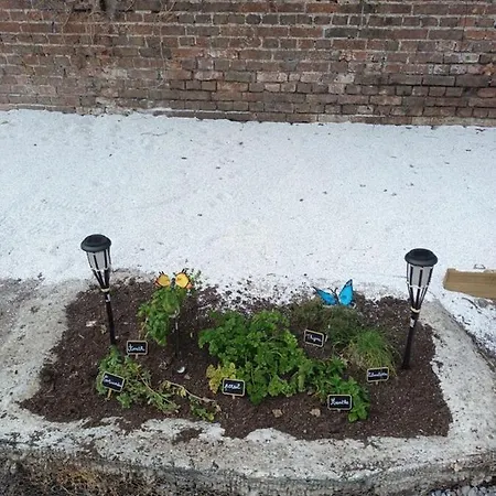 La Charmante Cayolaise *